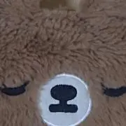 トラちゃんの画像