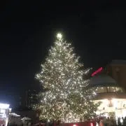 Takumiの画像