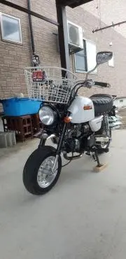 アオリイカの画像