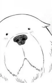 junjunの画像