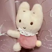 りぼんの画像
