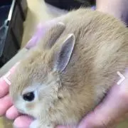 かず
