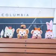 こっこ