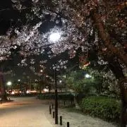 ゆー
