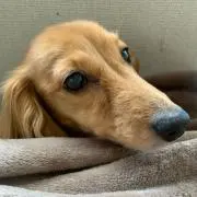 みーよの画像