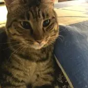 あべともの画像