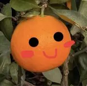みかんの画像