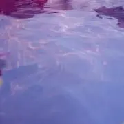 floorの画像