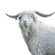 弾薬【引越し前 値下げ受付中】