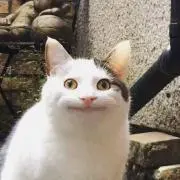 まりん
