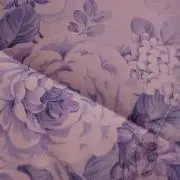 いろは