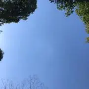 ライト