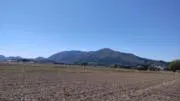 チャッピーの画像