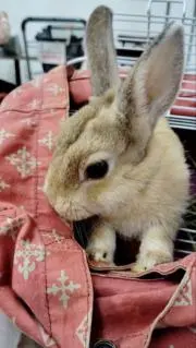 サチ ブロフ必読