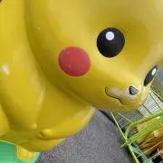 ぴかぴかの画像