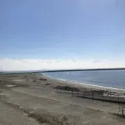 SALEの画像