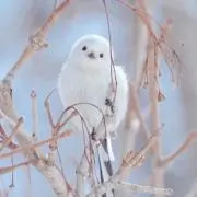 maaayの画像