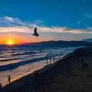飽き性(プロフ参照して下さい)の画像