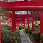 かずの画像