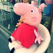 あんこの画像