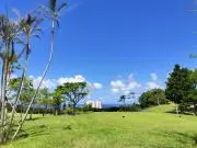 ころころの画像