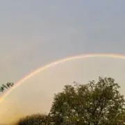 ぬこ ⭐︎掘り出し物見つかるかも！？＾＾の画像