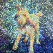 断捨離犬の画像