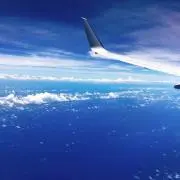 taniの画像