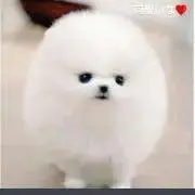 Image of かっちゃん　激安400円セール開催中‼️