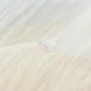 たろまるmama
