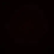 www