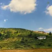 ぽっぽの画像