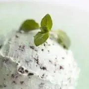 ミントの画像