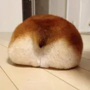 ぽんた