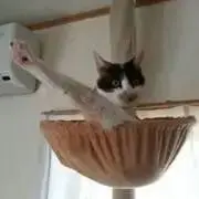 Yuの画像