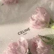 mの画像
