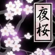 夜桜