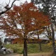 みもじの画像