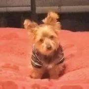 mamu工房