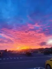 チロルの画像