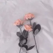m.