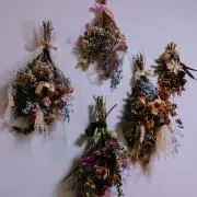 totoshishiの画像
