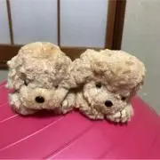 スンホの画像