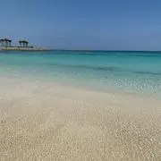 みかんの画像