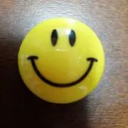 ピンガの画像