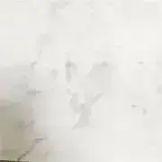 COCOの画像