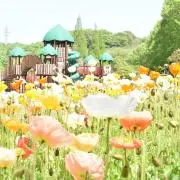 たま