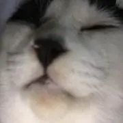 ぼぶ