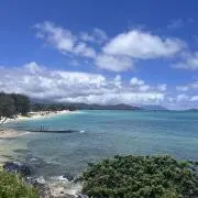 manoaの画像