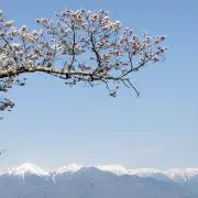 yoriyoriokの画像